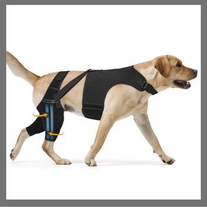 Dog Knee Braces For Back Leg, Adjustable ACL Brace With 4 Stabilizers Size Large
